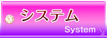 「system」